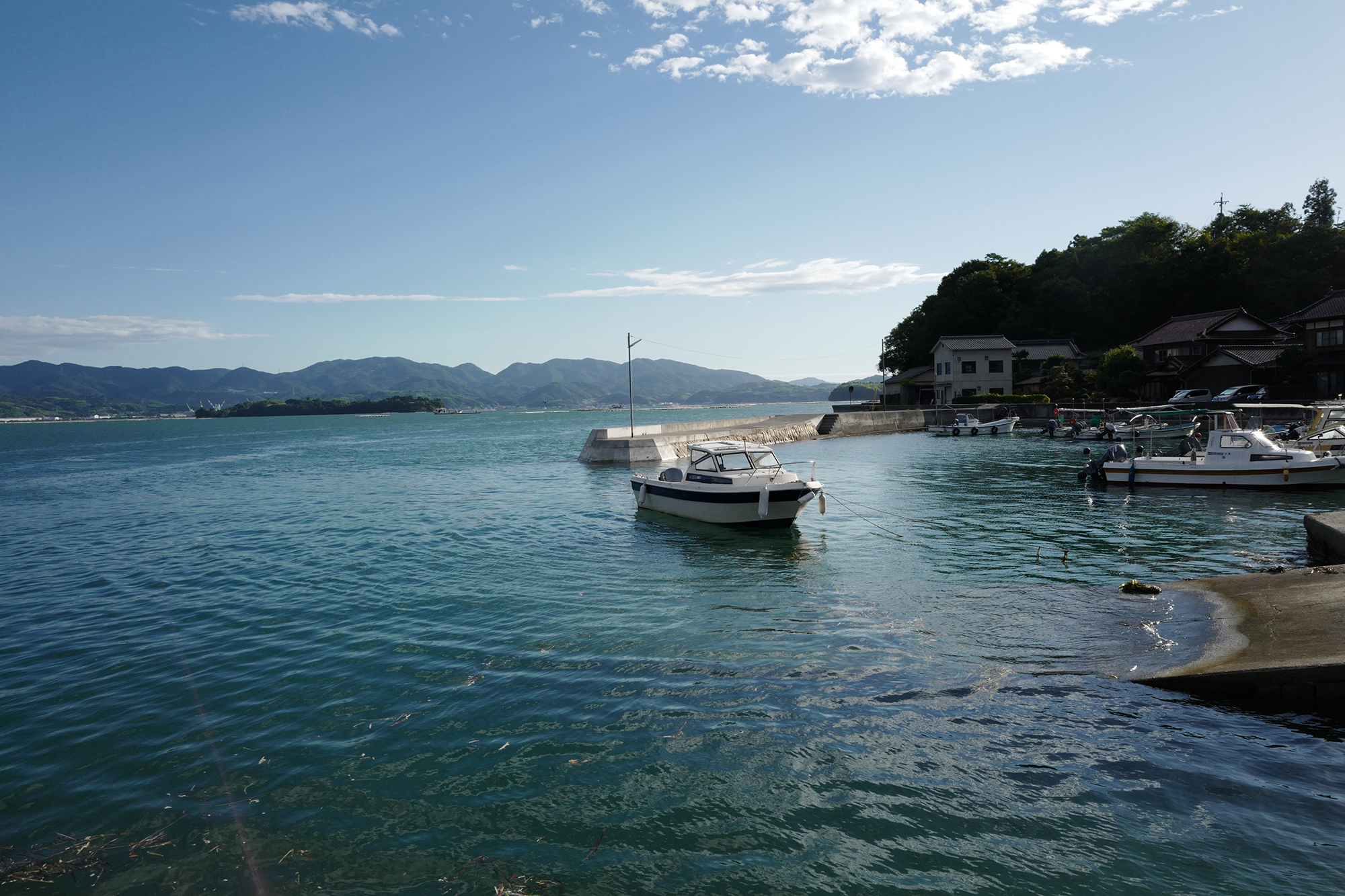 Y51 by the sea